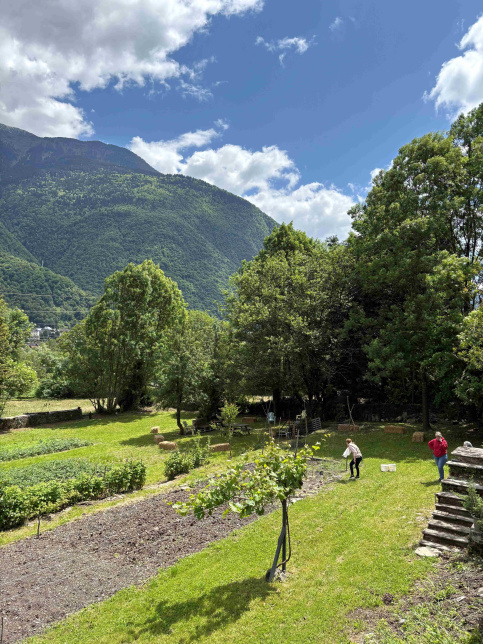Le jardin du collège